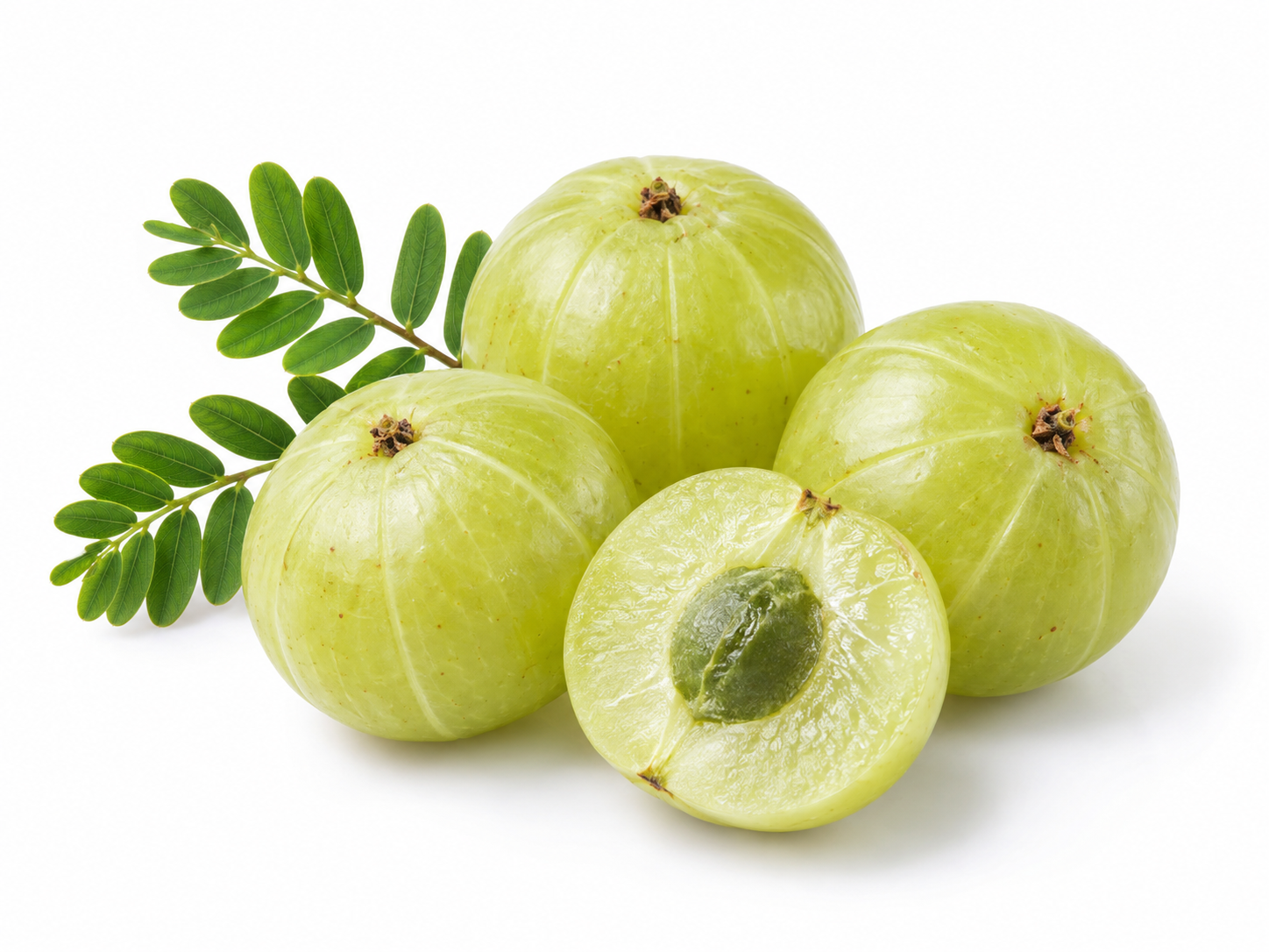 Ingredients Amla botanical on a white background
