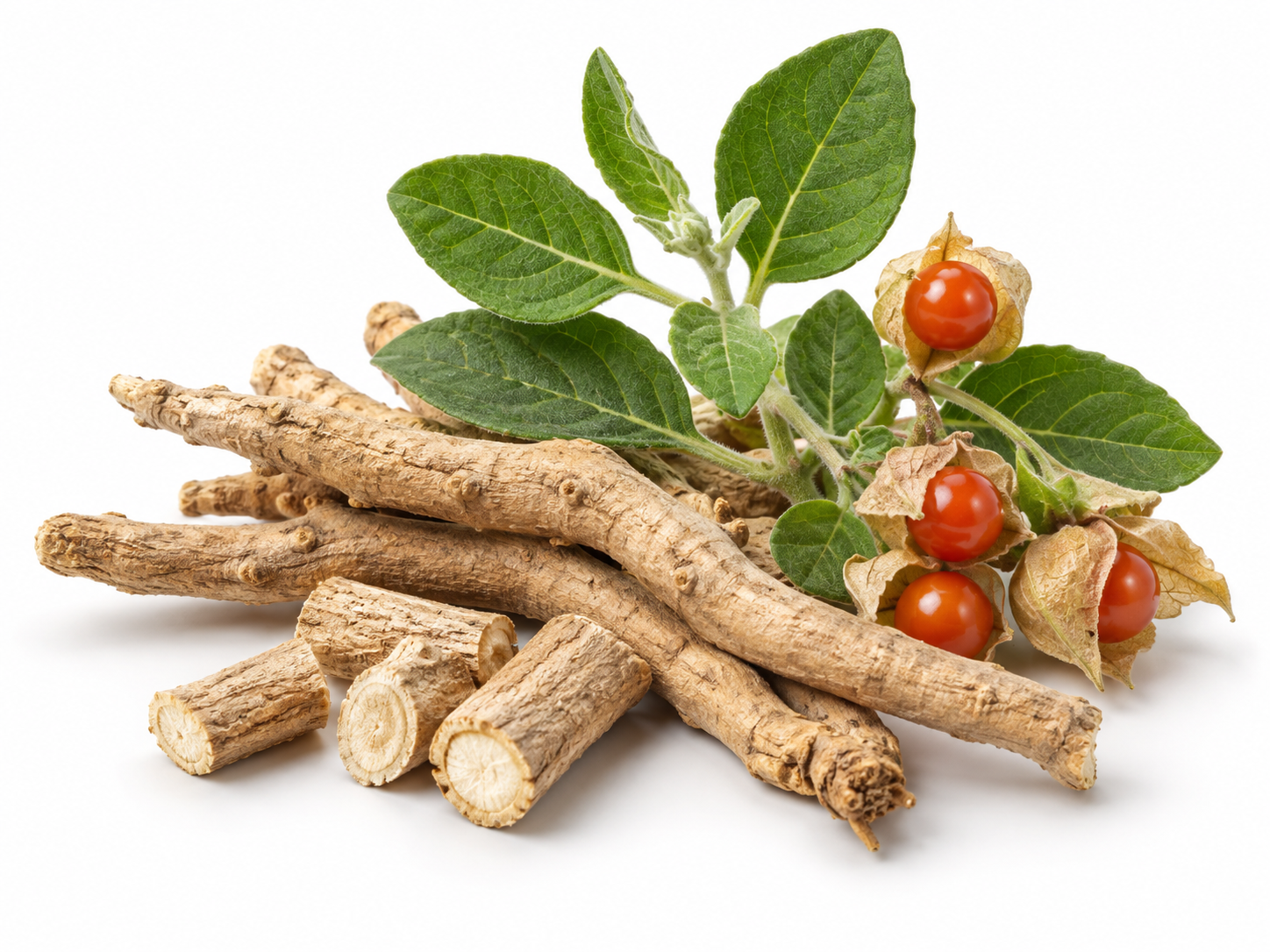 Ingredients Ashwagandha botanical on a white background
