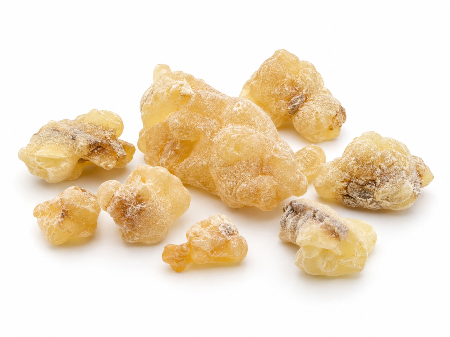 Ingredients Frankincense botanical on a white background
